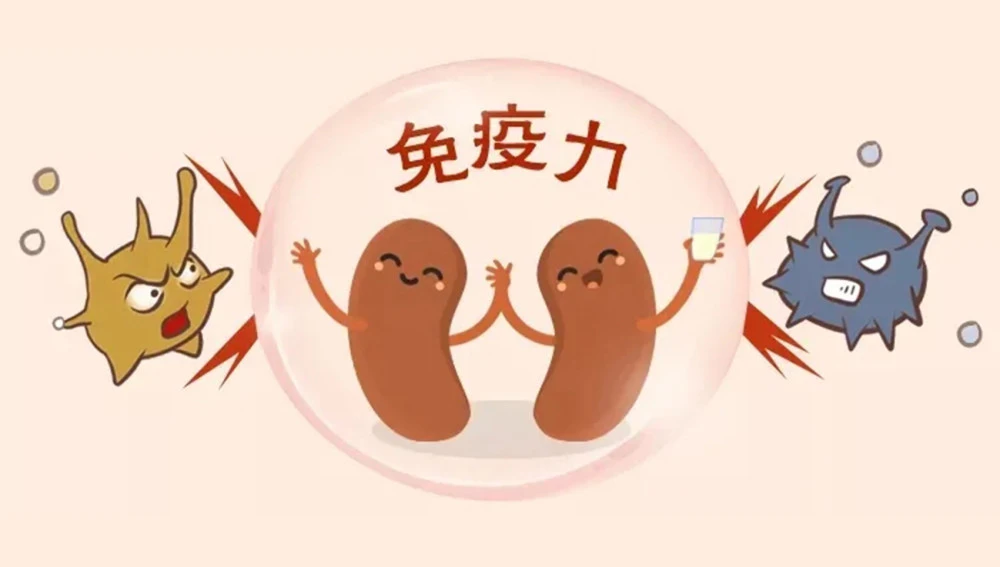 哪些因素会影响人体免疫力的水平