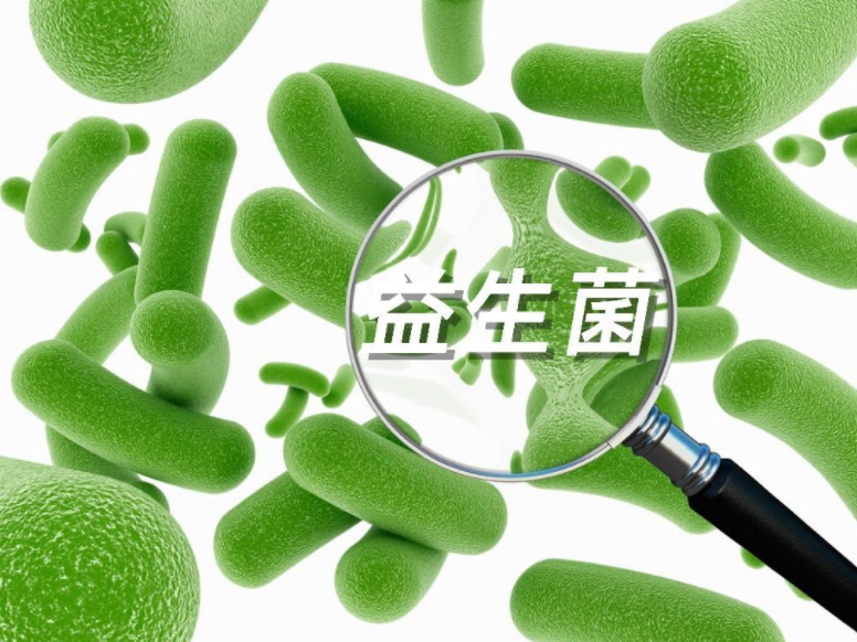 菌群移植提供了更多维护健康的选择