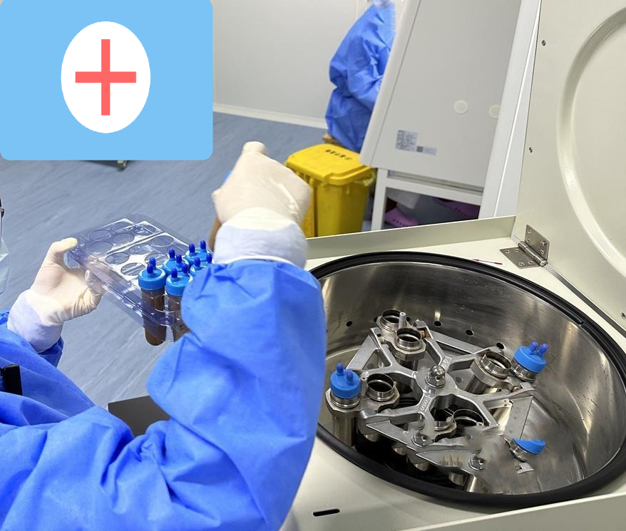 肠道菌群与脏腑功能