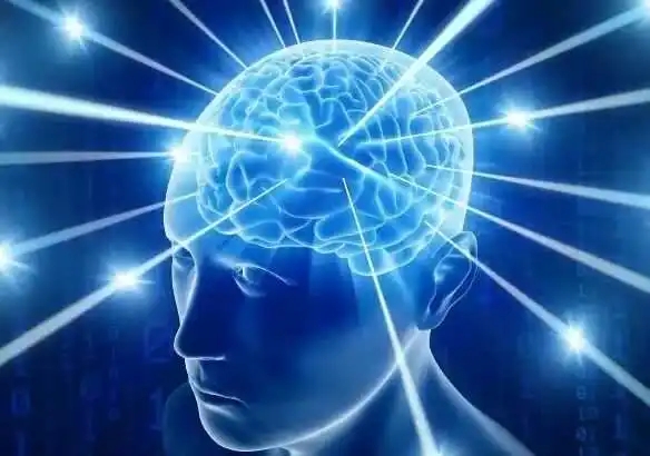 认识肠脑轴与肠心轴