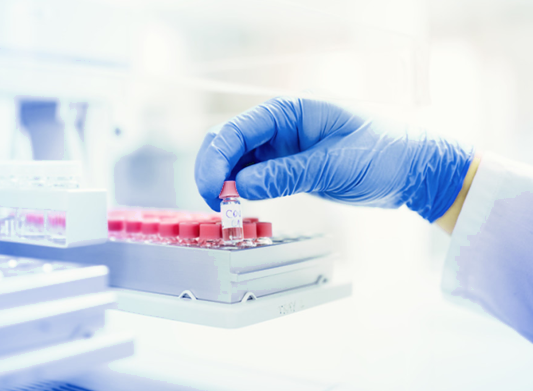 肠道菌群与糖尿病：血糖稳定的“幕后推手”