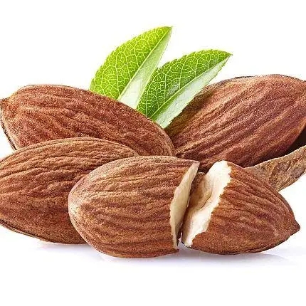 对血管有益的营养素