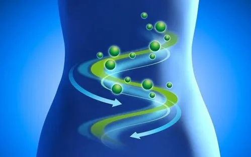 肠道防护的三道防线