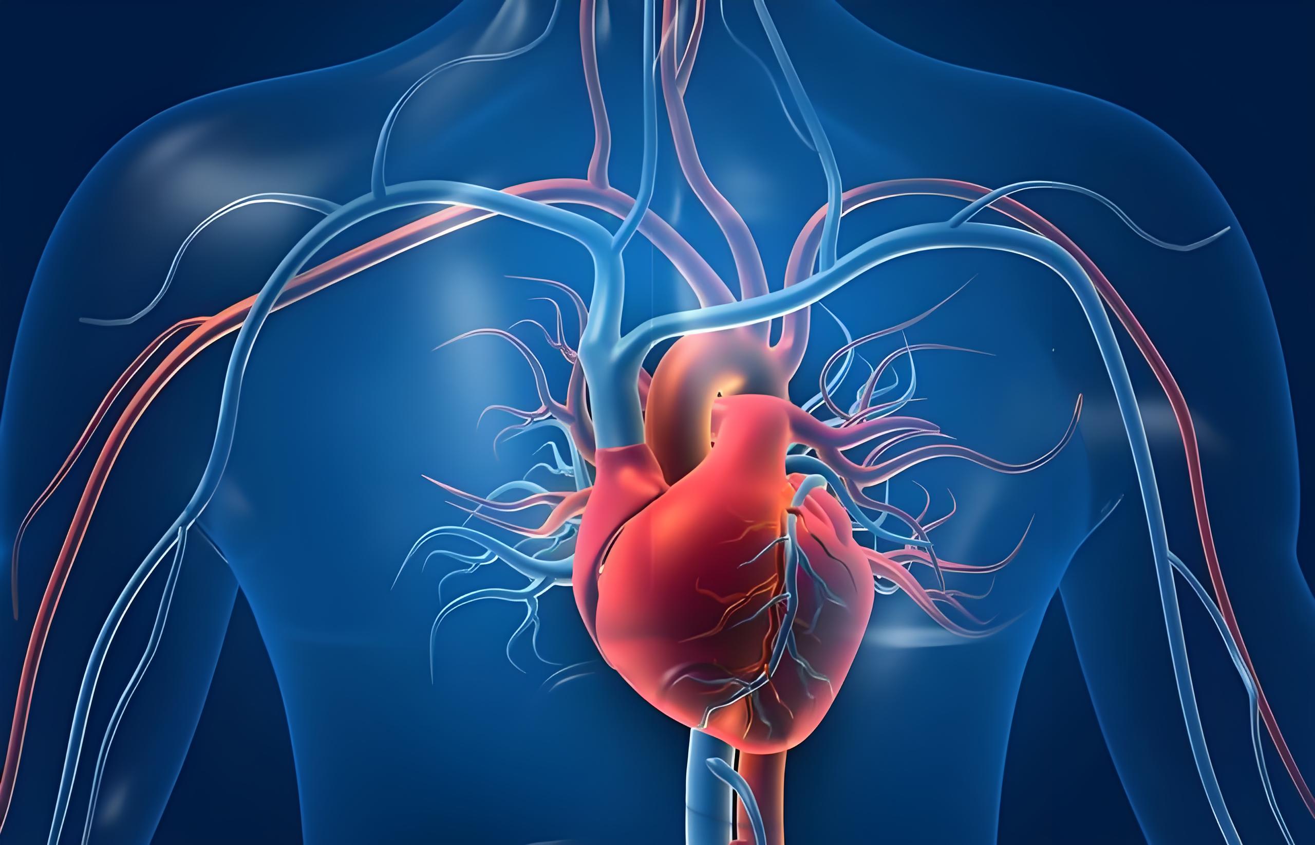 血液粘稠与血脂高是有区别的